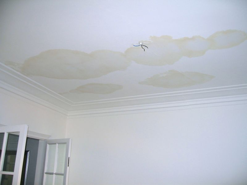 Water Stains on Ceilings